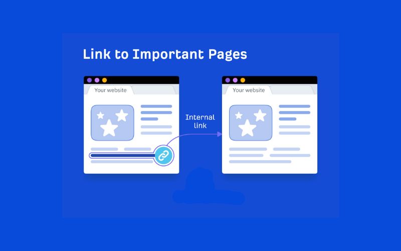 Vai trò của Internal link trong SEO