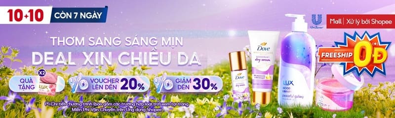 Các thành phần hiển thị chính