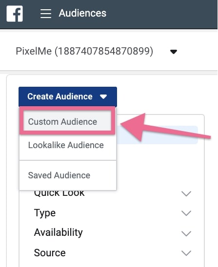 chọn Custom Audience