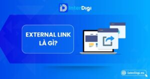 Tổng quan về External Link